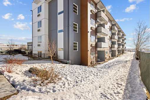 A snow-covered ground at Majestic Drive, Missoula, MT