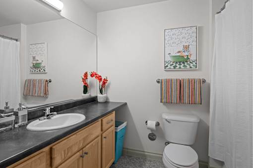 A bathroom with a toilet at Spruce Street, Montana