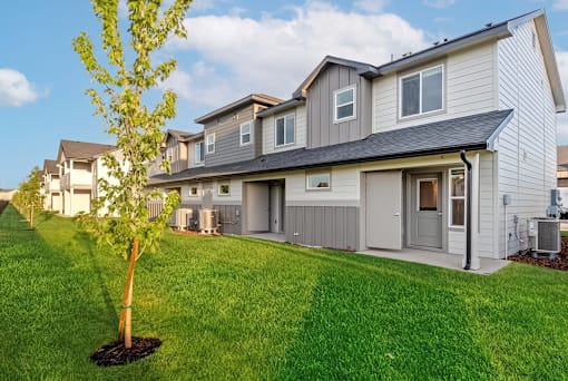 A tree is planted in front of a grey house.