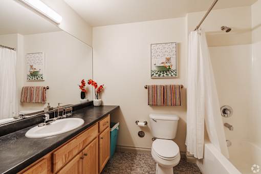 A bathroom with a white toilet, sink, and shower.