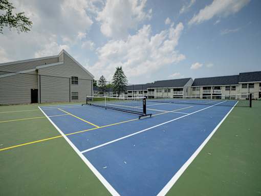 Pickleball Court