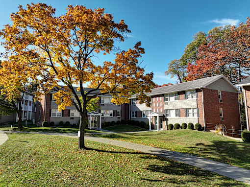 A tree with orange leaves stands in front of a building.