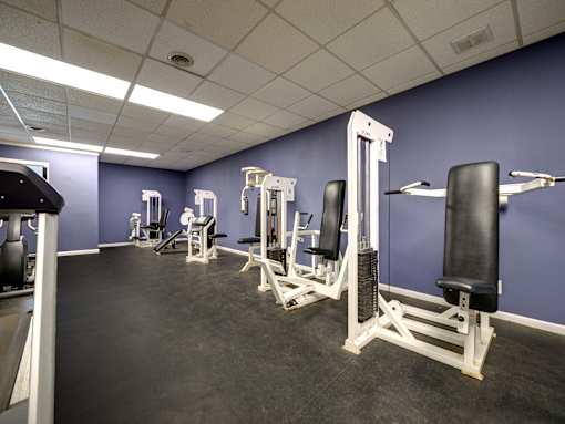A gym with purple walls and a variety of weightlifting equipment.  at Highland Club Apartments, Watervliet, NY 12189