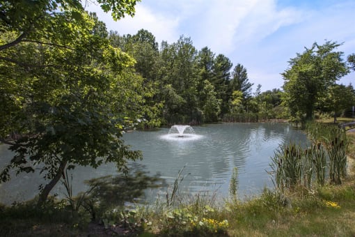 a fountain in the middle of a pond