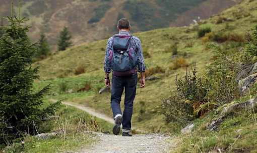Mountain trails