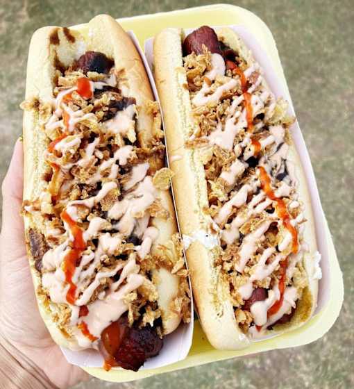 A person is holding two hot dogs with toppings.