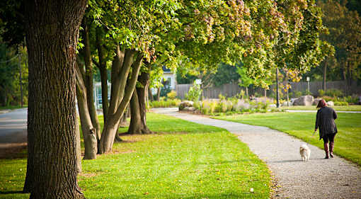 a woman walking her dog down a path in a park