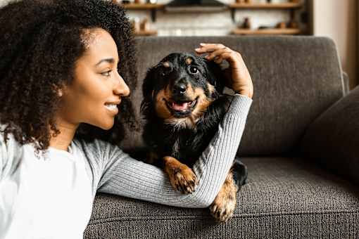 A woman with curly hair is sitting on a grey couch with a black and tan dog on her lap.