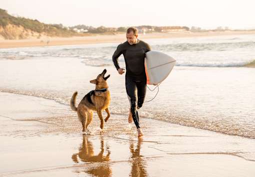 A man and his dog are walking on the beach.