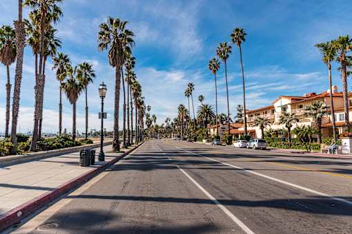 A street lined with palm trees under a blue sky.