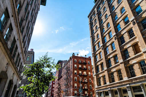 A tree is in the foreground of a city street with buildings on either side.