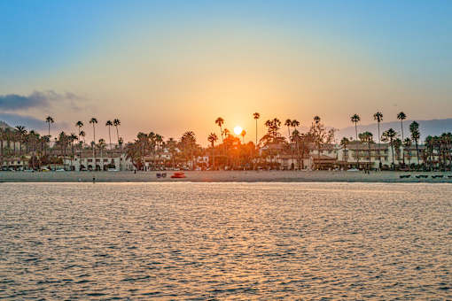 A beautiful beach scene with palm trees and a sunset.