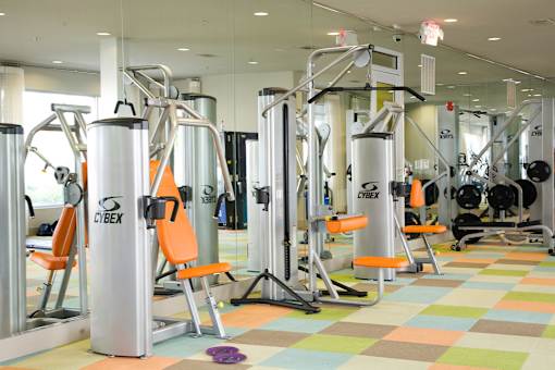 a slew of exercise equipment in a gym