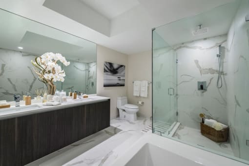 a bathroom with a bathtub shower and a sink with a mirror