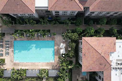 A swimming pool surrounded by trees and plants.