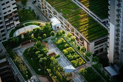 A green roof on a building is seen from above.