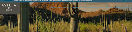 A cactus in a field with a sign that says "AVILLA GROVE".