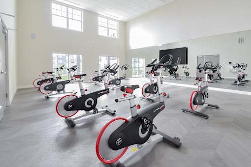 a gym full of exercise bikes in a large room