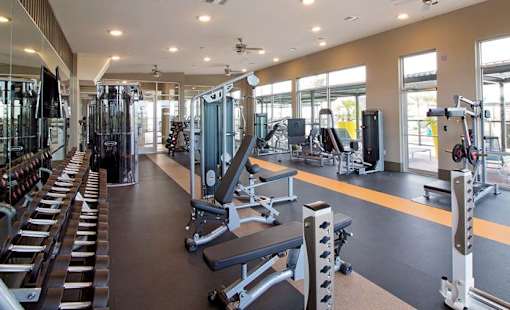 Fitness center with weights and cardio machines
