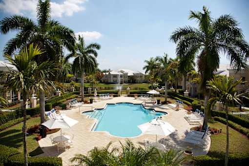 A large swimming pool surrounded by palm trees and lounge chairs.