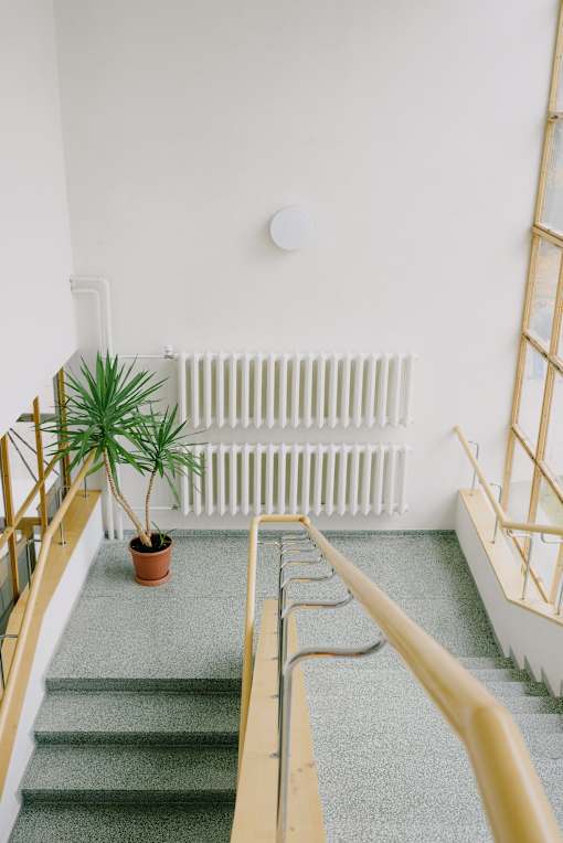 a view from the top of the stairs looking down into the stairwell