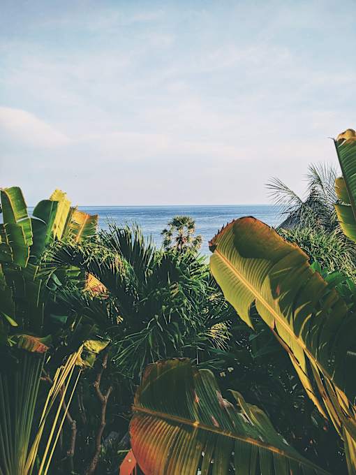 a view of the ocean through the trees