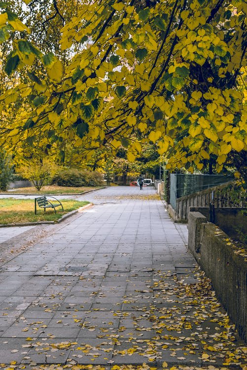 Park
