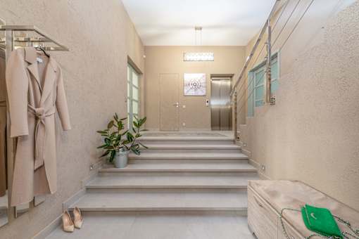 A hallway with a coat hanging on a rack and a potted plant on the steps.