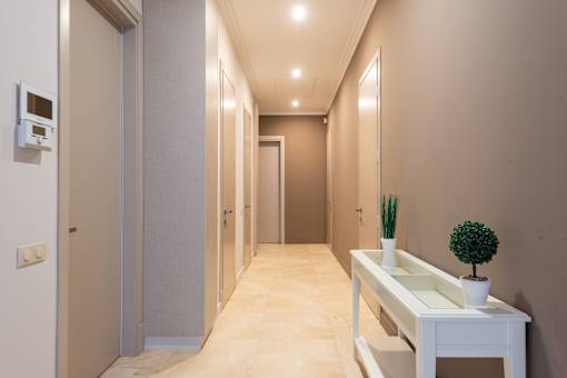 A long hallway with a white console table and a plant on it.