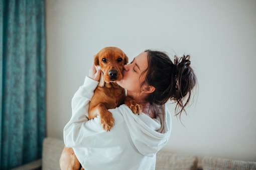 A woman in a white shirt is holding a small brown dog.