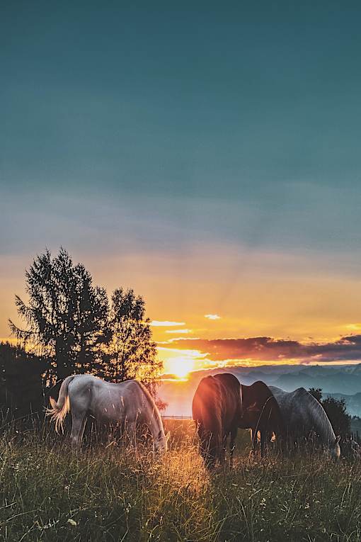Incredible sunset view and peaceful neighborhood.