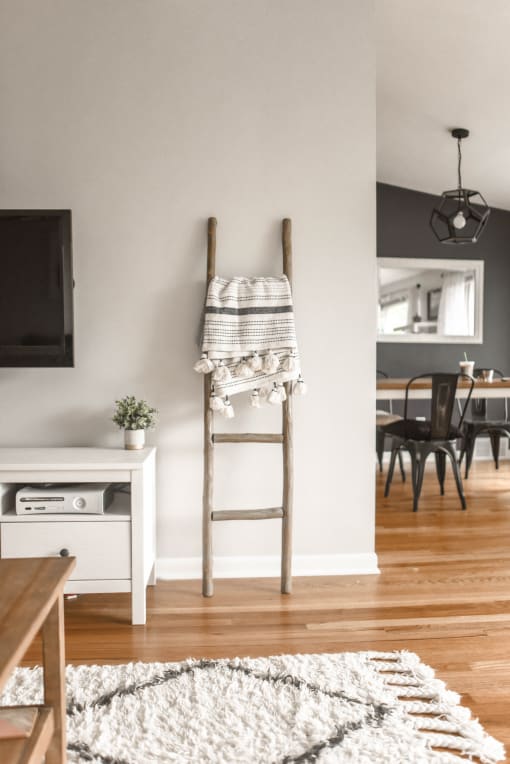 a wall mounted ladder in a living room with a tv on the wall