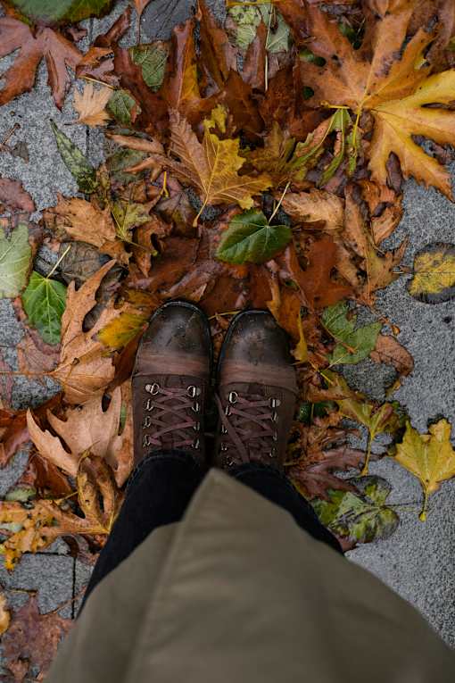 A person standing on a leaf covered ground.