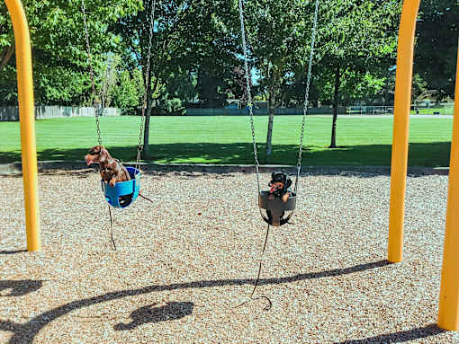 Two children playing on swings in a playground.