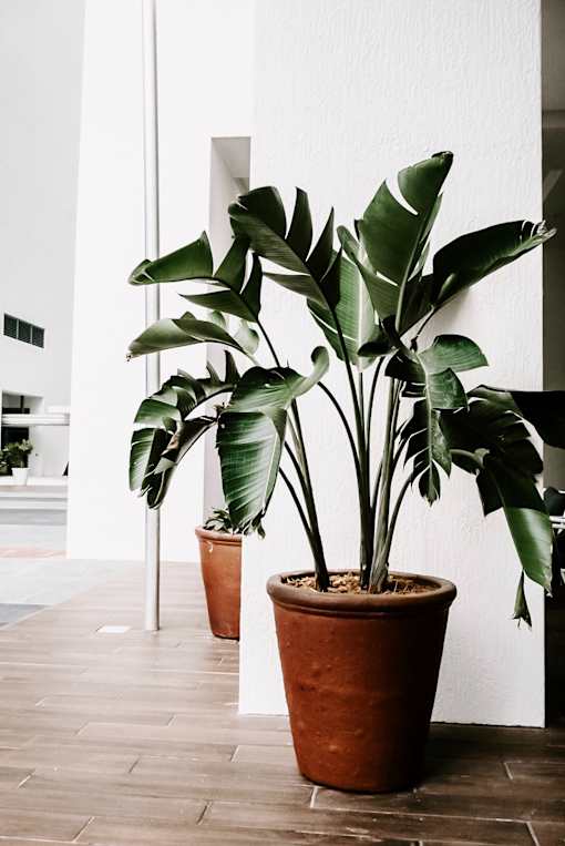 apartment picture