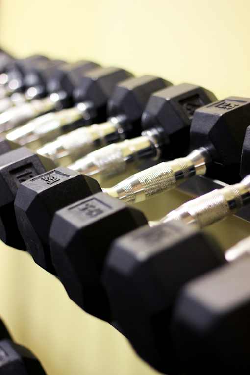 A row of black dumbbells are lined up on a rack.