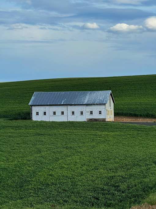A white barn with a grey roof sits in a green field.