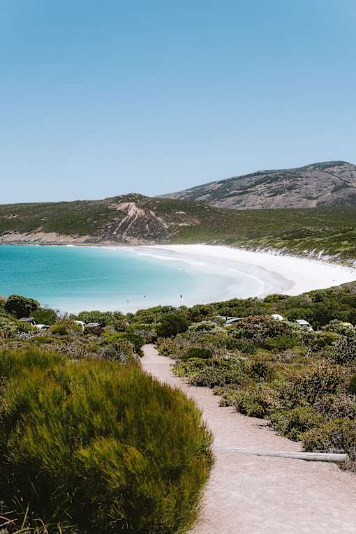 A path leads to a beach with a clear blue sky above.