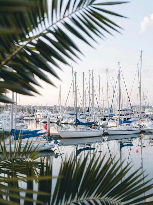 A marina filled with lots of boats.