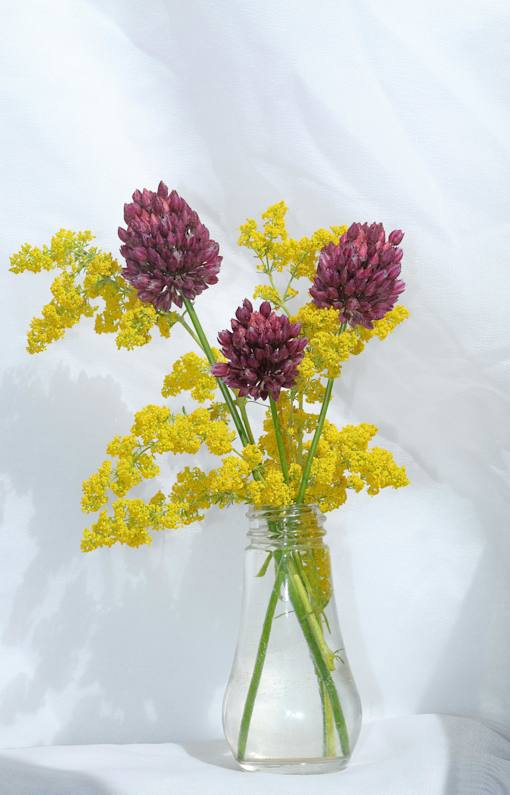 A vase with purple and yellow flowers.