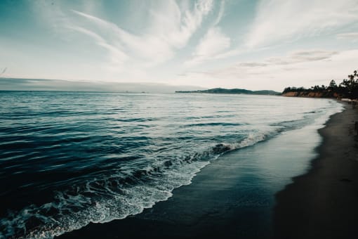 an image of a beach on a sunny day