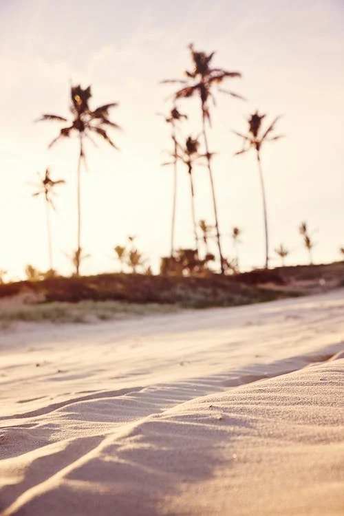 beach2