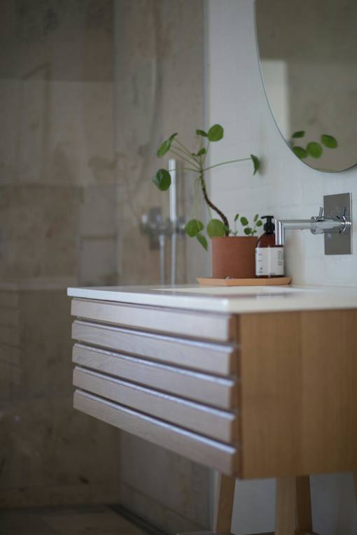 A bathroom vanity with a mirror and a potted plant.