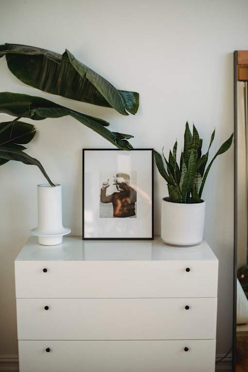 a white dresser with plants on top of it