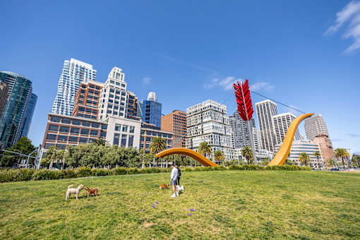 A person is walking in a park with a dog.