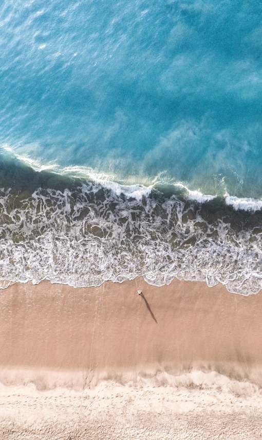 Ocean view