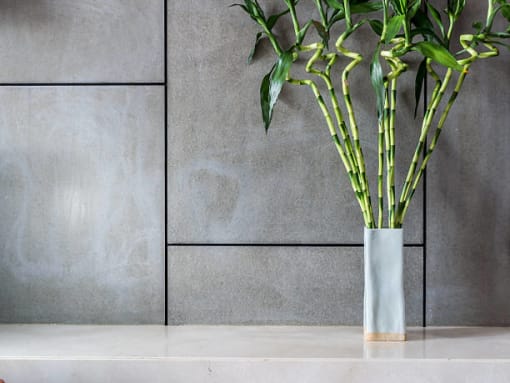 Bamboo Plant