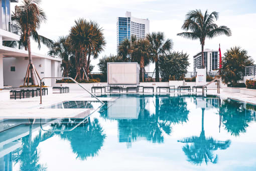 pool with palm trees