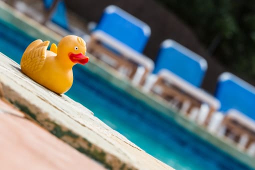 pool with rubber ducky