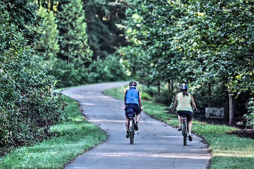 bikes